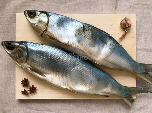 Луковые кольца 